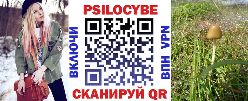 Псилоцибиновые грибы Cubensis  ссылка на мегу ссылки  Инза 